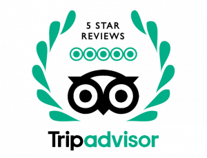 Tripadvisor Logo