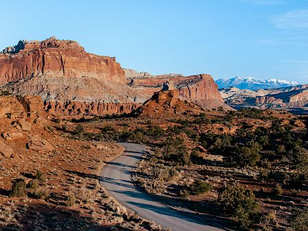 Cougar Ridge
