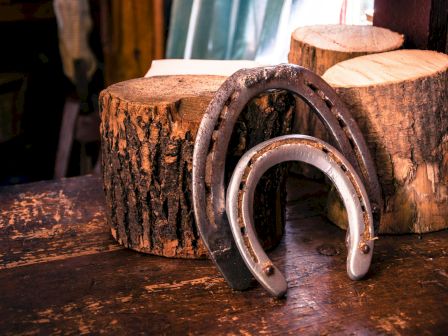 The image shows two horseshoes leaning against cut wooden logs on a rustic wooden surface.